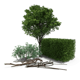 Yard Waste & Brush waste type