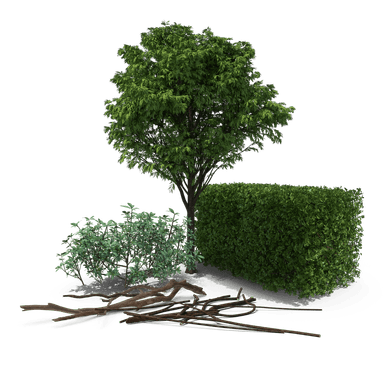 Yard Waste & Brush waste type