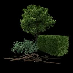 Yard Waste & Brush waste type
